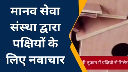 मानव सेवा संस्थान द्वारा बनाए जा रहे है गौरेया के लिए लकड़ी के घोंसले