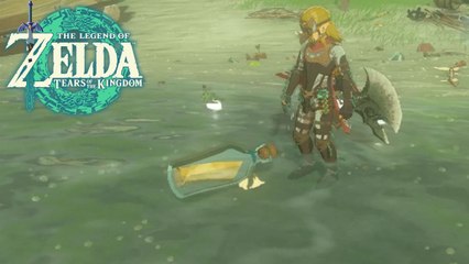 Une bouteille à la mer Zelda Tears of the Kingdom : Où trouver la grotte pour sauver Biazis ?