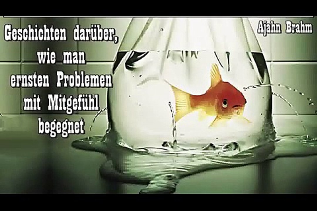 Geschichten darüber, wie man ernsten Problemen mit Mitgefühl begegnet - Ajahn Brahm_WMV V9