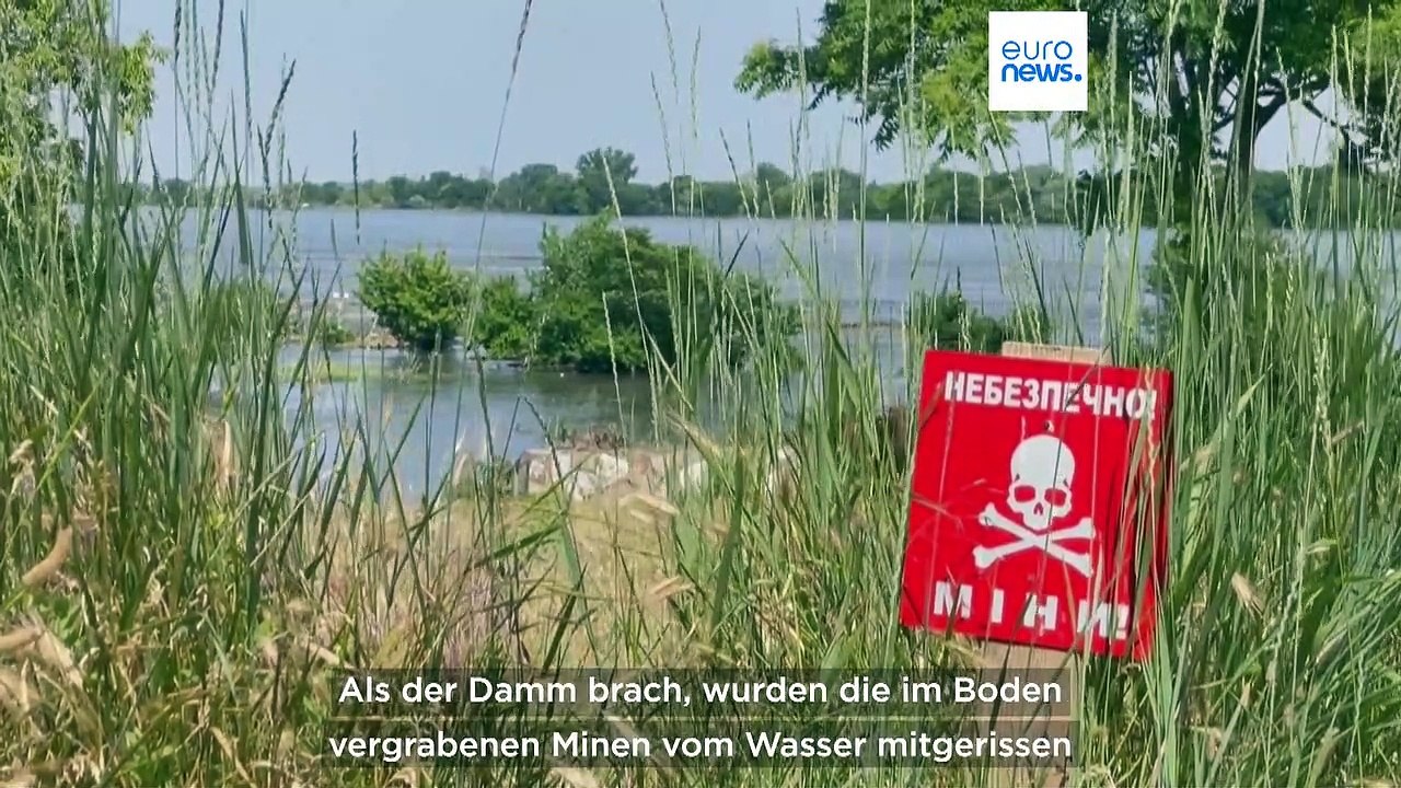 'Ökozid kennt keine Grenzen': Welche Gefahren nach Kachowka-Dammbruch drohen