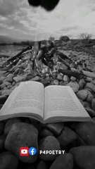 whatsapp status | deep lines | best quotes  | heart breaking video