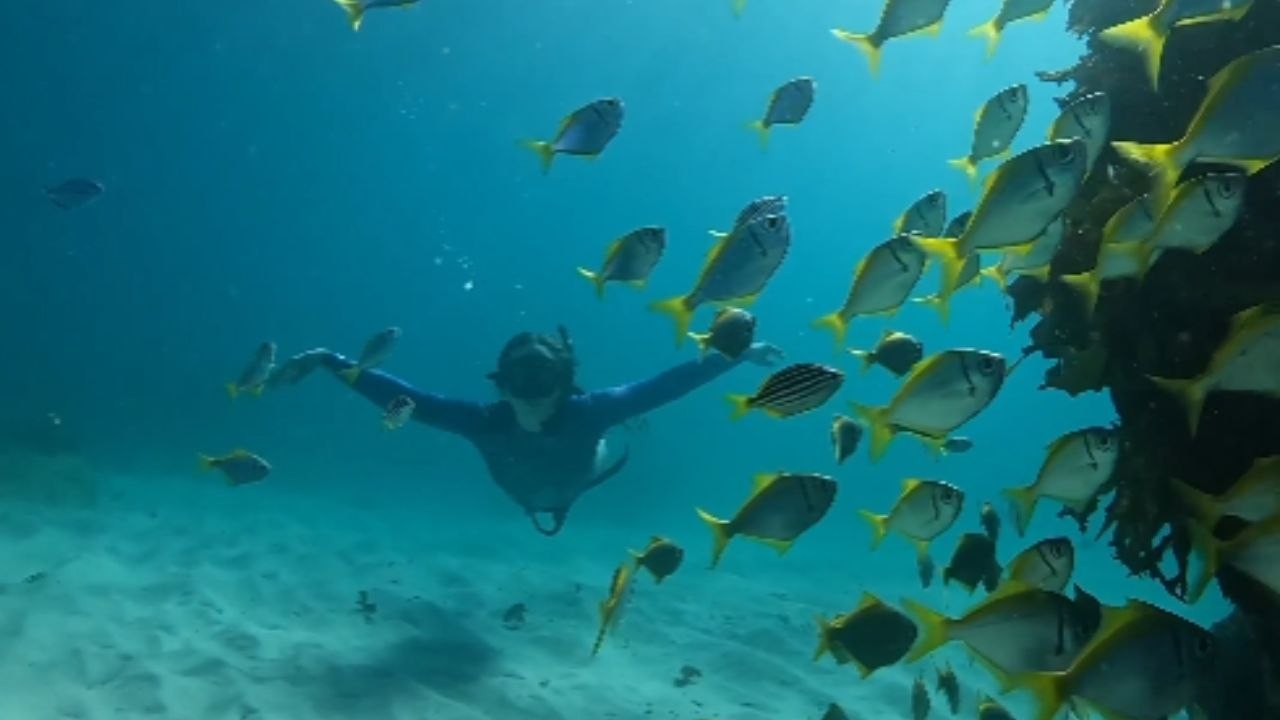 Woman gives her best mermaid impression during breathtaking freediving adventure