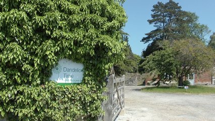 Dandelion Time celebrates its dedicated volunteers