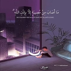 Quran recited by  Raad Al-Kurdi Surat Al-Taghabun  -  WhatsApp statuses