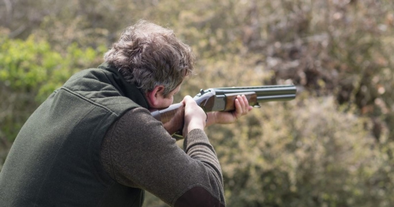 Corse : alors qu'il visait un sanglier, un chasseur blesse une coiffeuse