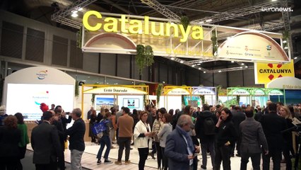 Explore Catalonia on this epic 2,000 km circular tour from Barcelona to the Penedès wine region