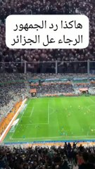بهذه الطريقة رد جمهور الرجاء على الجزائر