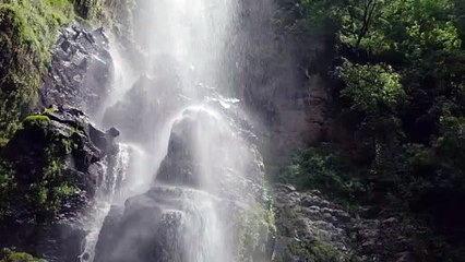 Nature's Liquid Wonders