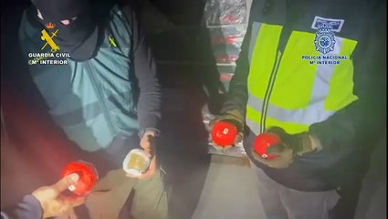 Spanish police find 22 tonnes of drugs hidden in 'fake tomatoes'