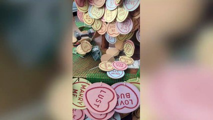 Mum creates a Valentine’s themed 'love heart cascade' outside her house – for just £165