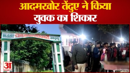 Chhattisgarh News: आदमखोर तेंदुए का आतंक: खेत से लौट रहे युवक को मारकर घसीट ले गया, जंगल में मिला शव