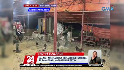 Lalaki, arestado sa bistadong e-sabong; 28 panabong, natagpuang patay | 24 Oras
