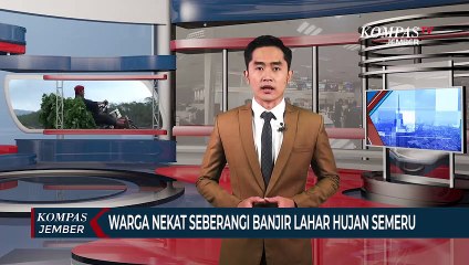 Warga Seberangi Banjir Lahar Hujan Semeru untuk Pulang ke Rumah