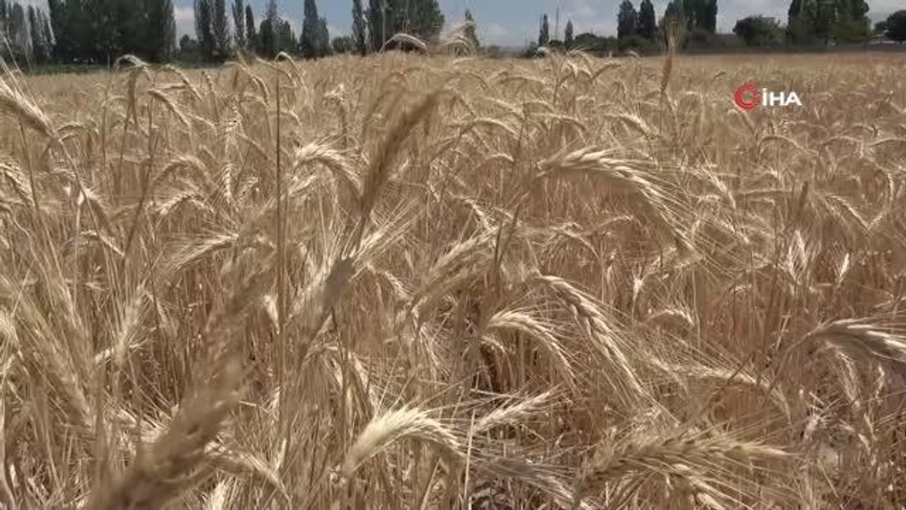 Ziraat odası başkanından çiftçilere: "Suyu az tüketen ürünler tercih edilmeli"