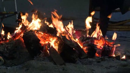 Gálvez arde por los cuatro costados y saca brillo a su San Antón