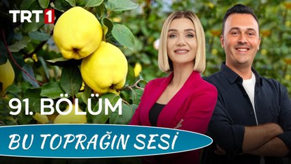 Bu Toprağın Sesi 91. Bölüm - Coğrafi İşaretli Geyve Ayvası