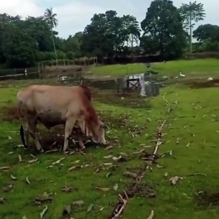 On the edge of the river in the countryside.