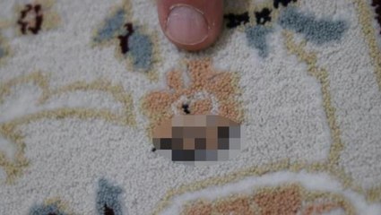 Halısının üzerinde Arapça "Allah" yazısı bulduğunu iddia eden şahıs firmaya tepki gösterdi