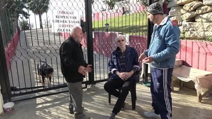 Sokak köpeklerini besleyen Alman vatandaştan, koyunları telef olan besiciye örnek destek