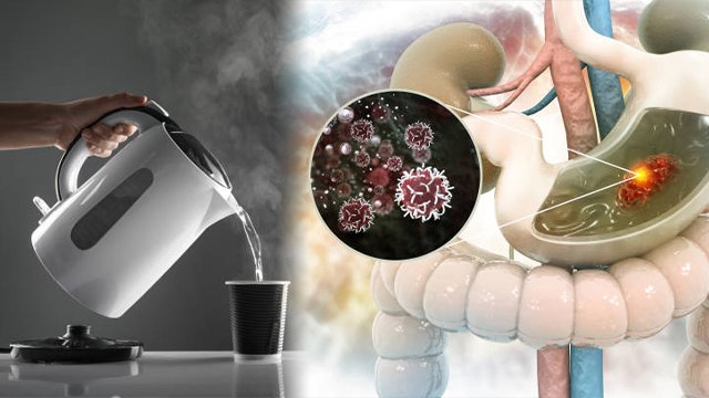 गरम पानी पीने से गैस बनती है क्या | Garam Pani Pine Se Gas Banti Hai Kya | Boldsky *Health