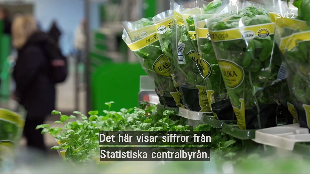 Erdogandockan gör problem mellan Turkiet  och Sverige - تدريب سماعي على أخبار السويد اليوم