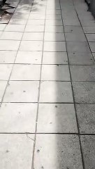 Hugo Tomei paseando por Dolores a horas de la audiencia número 11 del Juicio