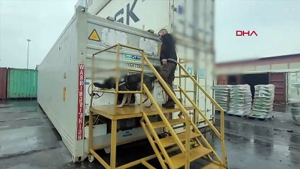 Mersin Limanı'nda 56 kilo kokain ele geçirildi