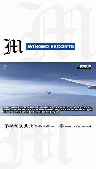 Winged escorts