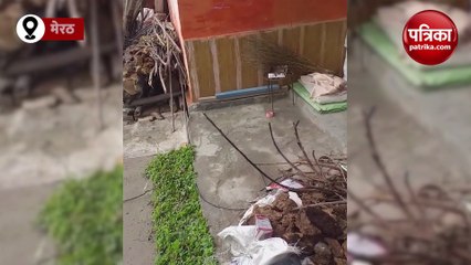 महंत और नेवलों की दोस्ती की अदभुद कहानी देख जो जाएंगे हैरान