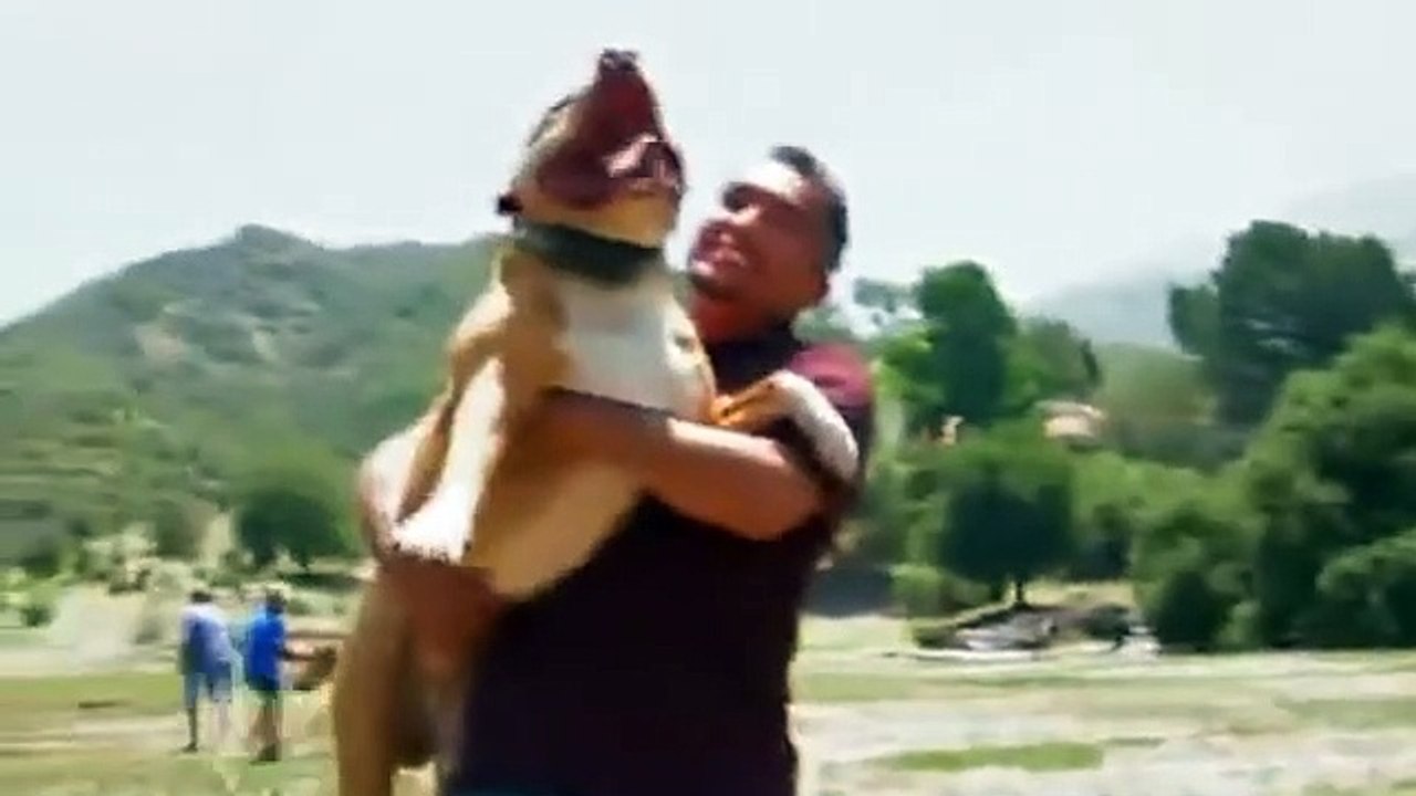 Dog Whisperer with Cesar Millan - Se3 - Ep18 HD Watch