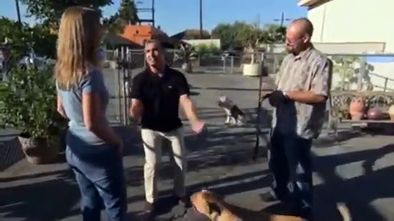 Dog Whisperer with Cesar Millan - Se3 - Ep14 HD Watch