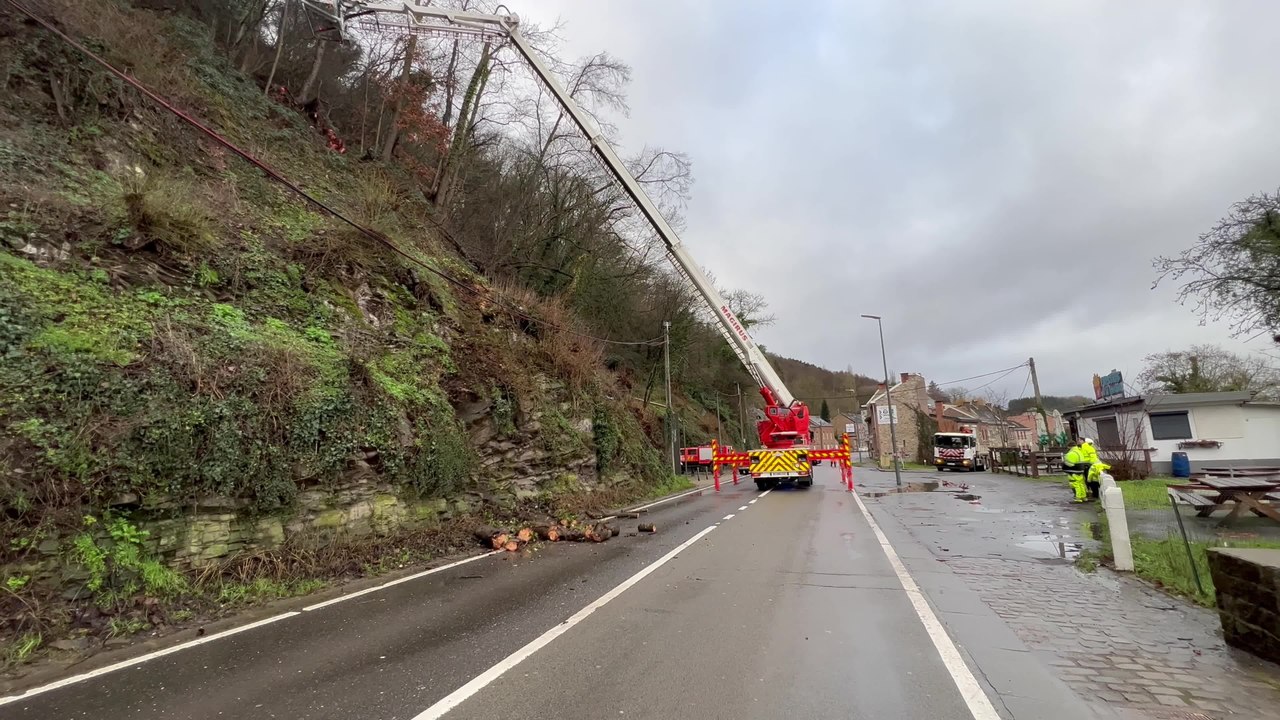 Huy : un arbre s’est abattu le long du quai qui rejoint Namur