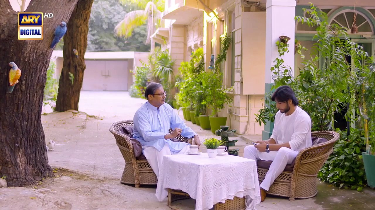 Muqaddar Ka Sitara Episode 29 _ 16th January 2023 _ ARY Digital (720p)