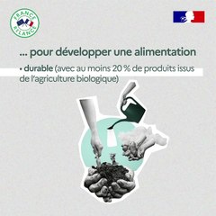 Bio et local dans les cantiens scolaires