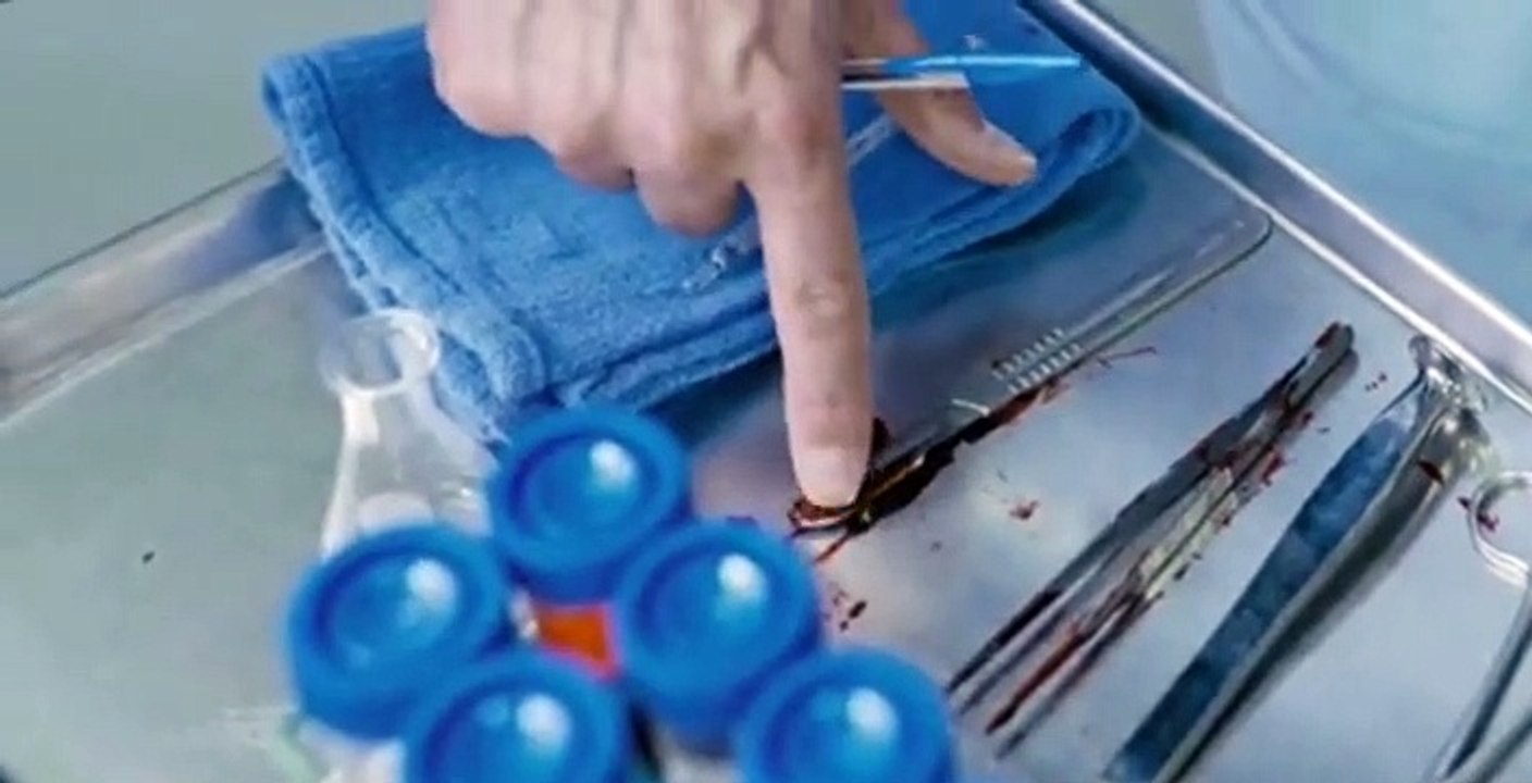 Age of The Living Dead S01 E02