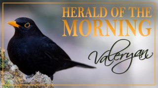 Valeryan - Herald of the Morning (Official Video)