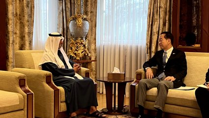 권영세 장관, UAE 관용공존부 장관 면담 "통일·대북정책 지지" / YTN