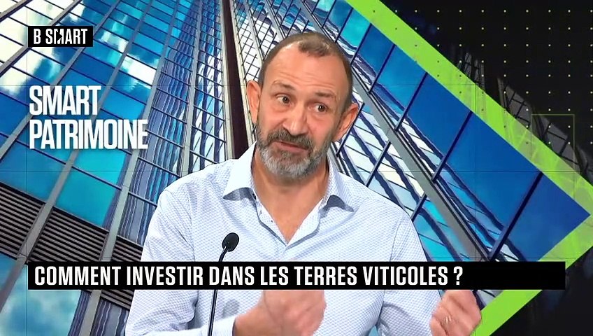 Comment investir dans les terres viticoles ?