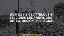 15 cm de neige attendue en Belgique: prévisions météorologiques, région par région