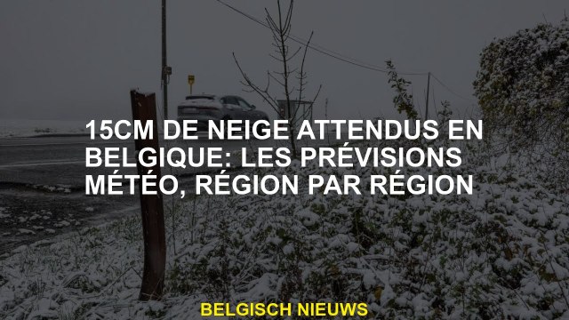 15 cm de neige attendue en Belgique: prévisions météorologiques, région par région