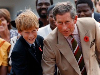 « Pas taillé pour un tel rôle » : le prince Harry tacle Charles III sur son rôle de père