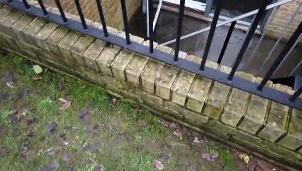 Locke Terrace flooding