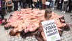 Madrid: des militants des droits des animaux manifestent contre l'industrie de la fourrure
