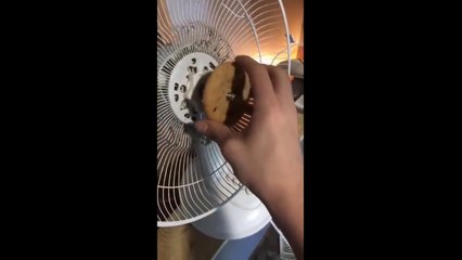 UNUSUAL MEMES COMPILATION V2