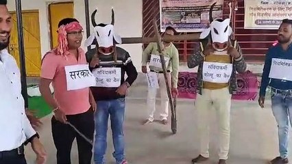 कोल्हू का बैल बनकर संविदा कर्मचारियों का प्रदर्शन