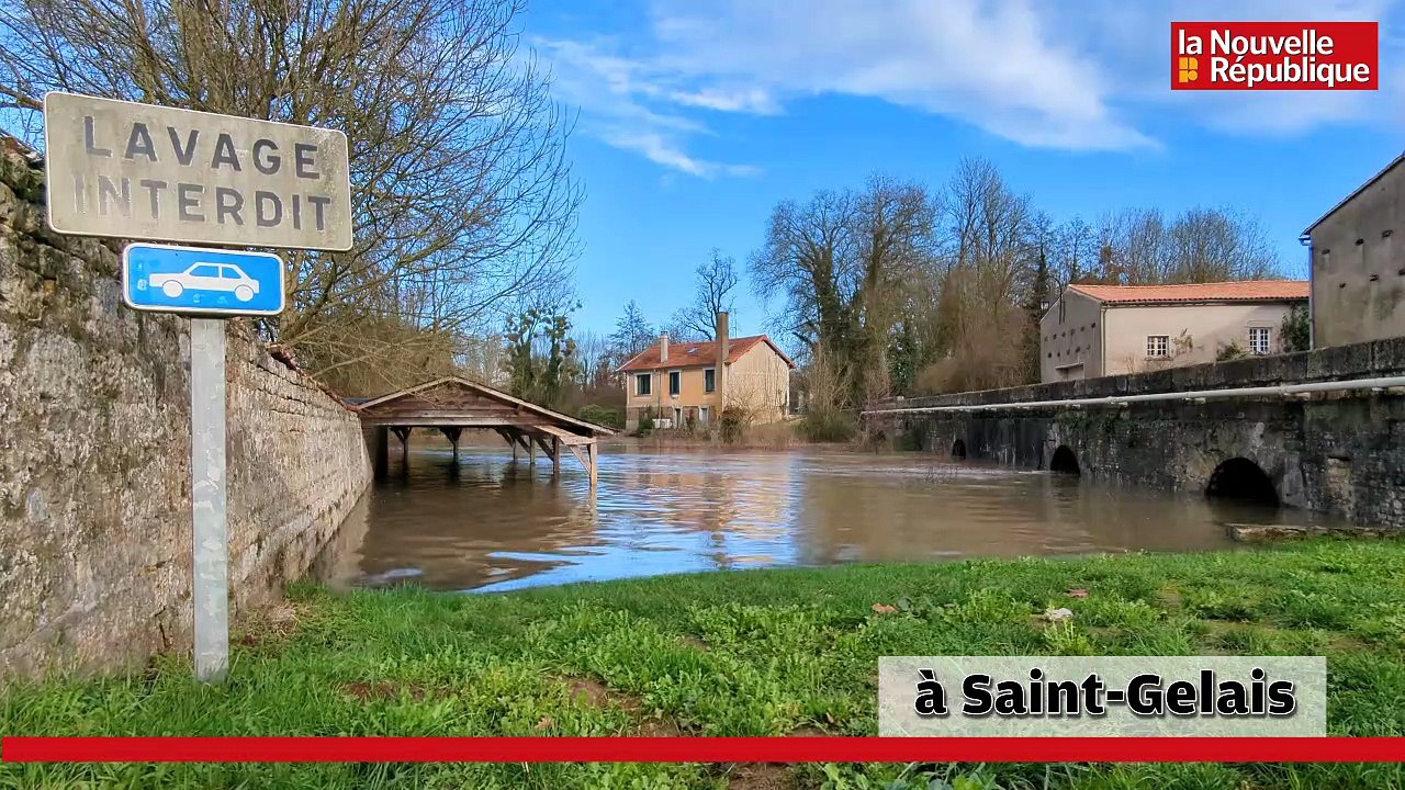 VIDEO. Les pieds dans la Sèvre niortaise en crue