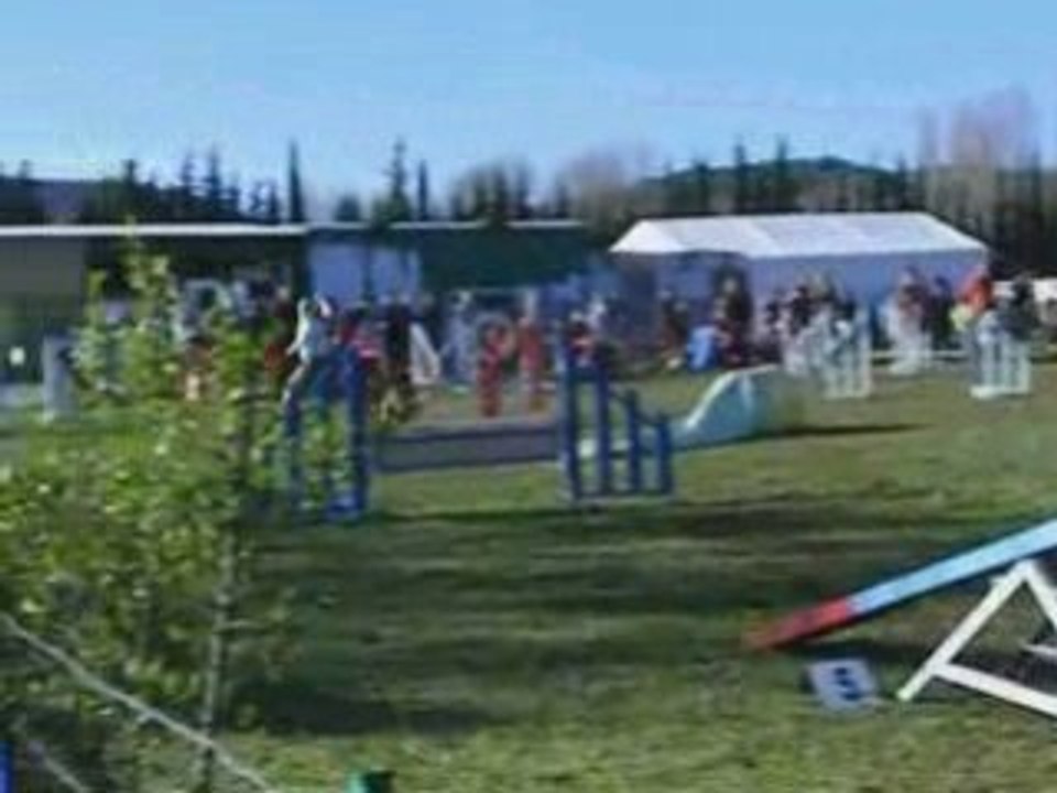 Montage vidéo loup CARSAN