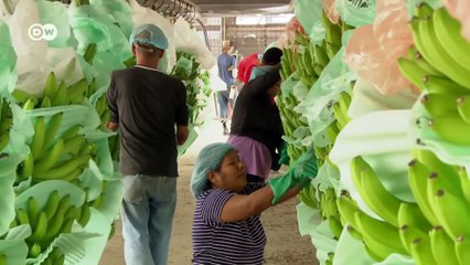 Atravesando Ecuador en tren | DW Documental