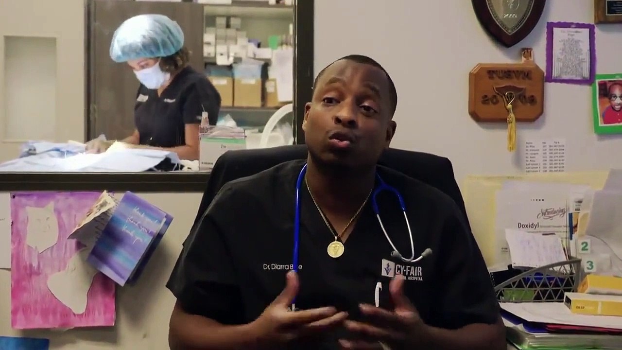 The Vet Life - Se6 - Ep02 HD Watch