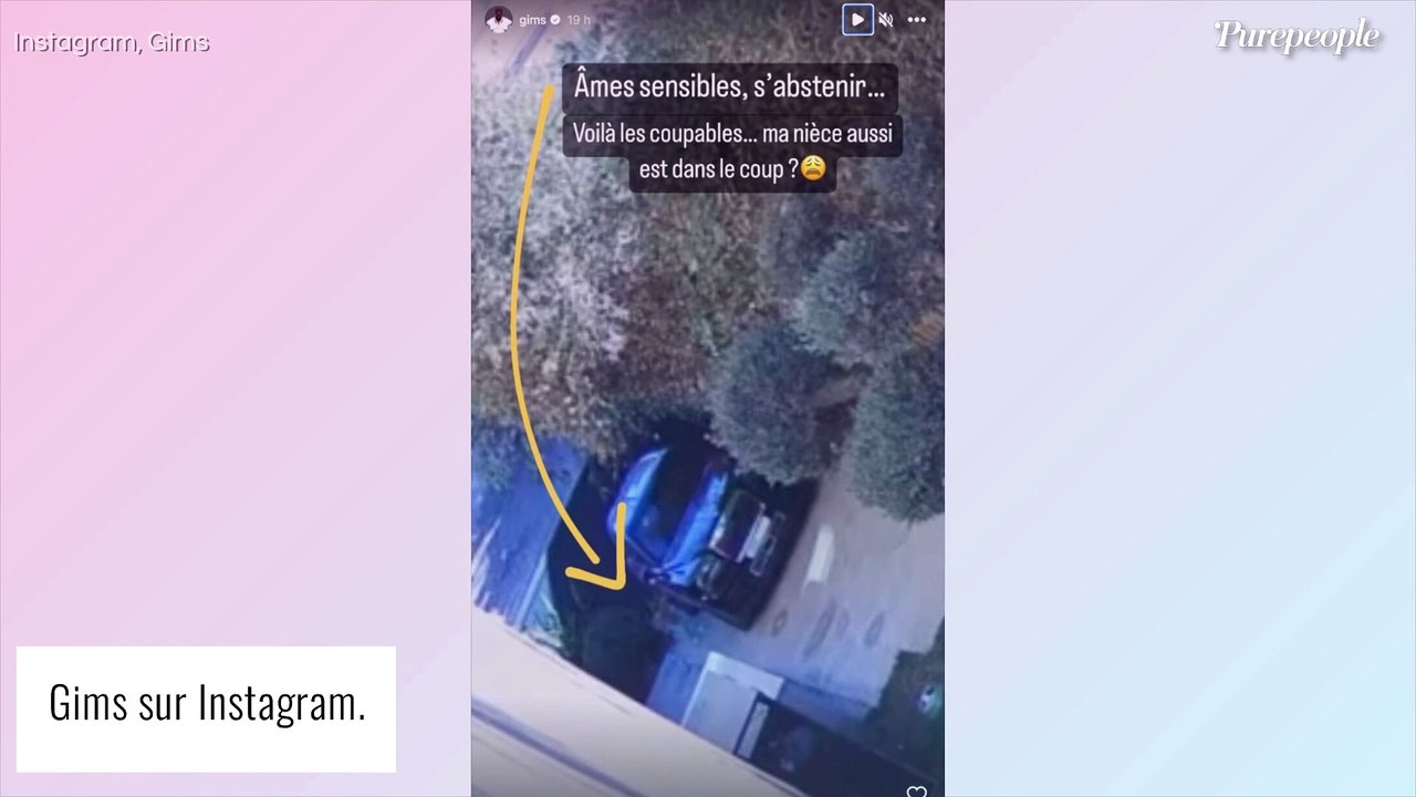 "Âmes sensibles, s'abstenir" : Haby, la fille de Gims qui a 2 ans, a détruit sa voiture, il dévoile de sacrés dégâts